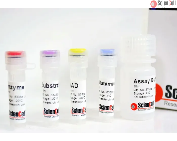 Glutamate Assay