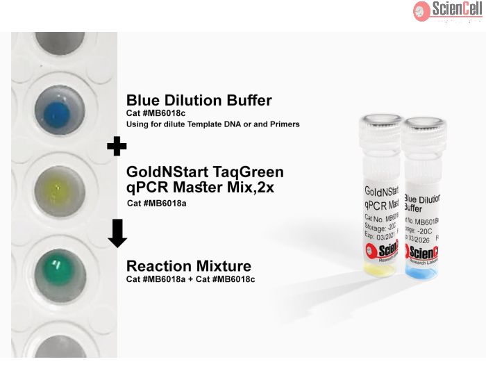 GoldNStart TaqGreen qPCR Master Mix with 2-Color Tracking