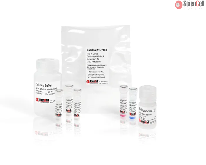 HIV-1 Virus One-step RT-PCR Detection Kit