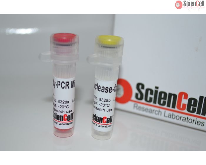 Human Mesenchymal Stem Cell Chondrogenesis Detection qPCR Kit