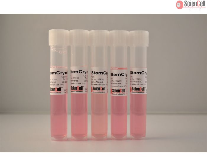 Human Pluripotent Stem Cell Cryopreservation Medium (5 x 10 ml)