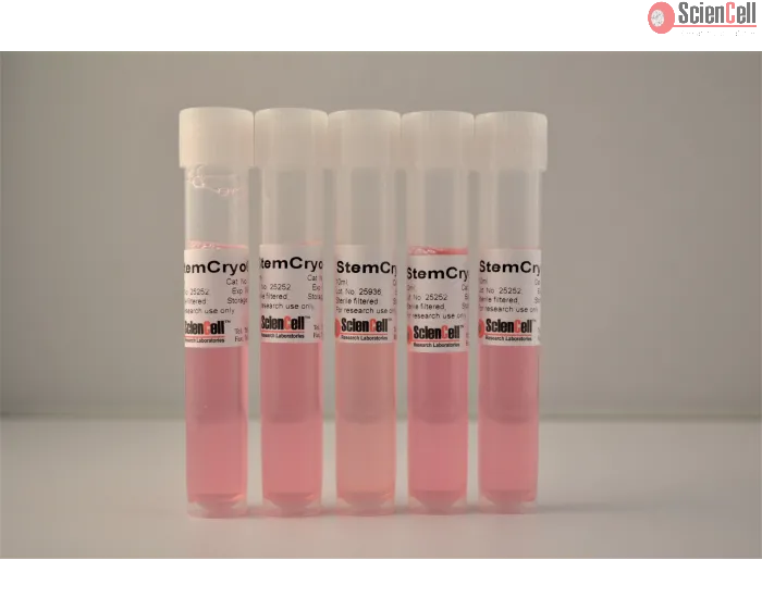 Human Pluripotent Stem Cell Cryopreservation Medium (5 x 10 ml)