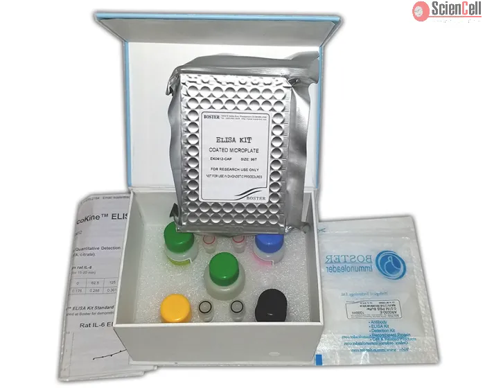 Human soluble CD40L ELISA Kit 