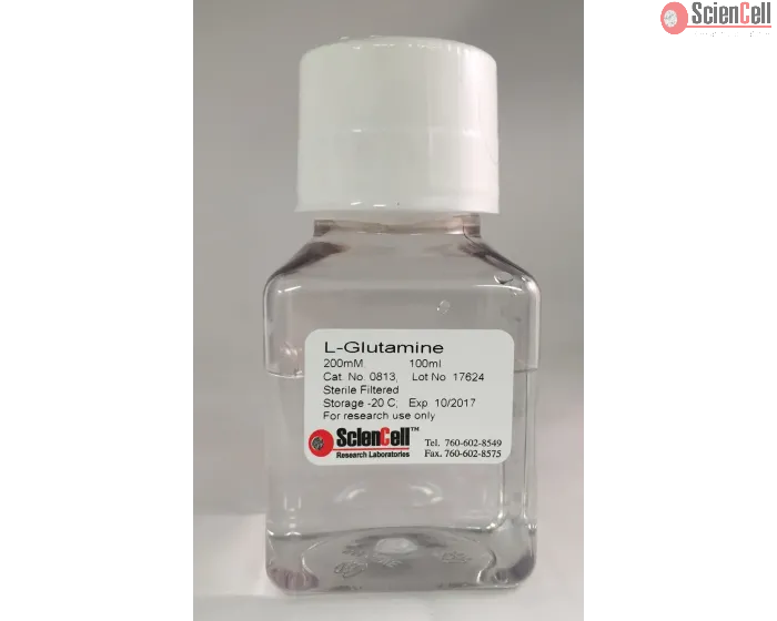 L-Glutamine_Solution