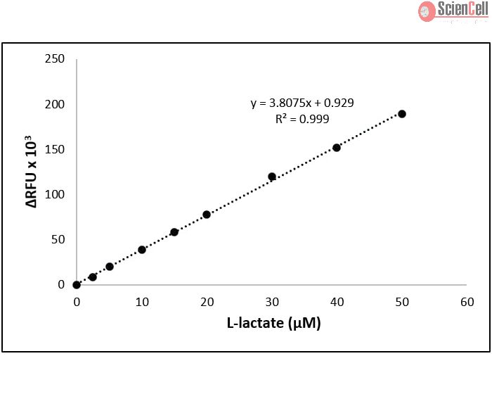 L-Lactate Assay- Fluorescence