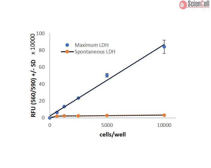 LDH Cytotoxicity Assay-Fluorescence