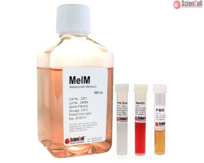 Melanocyte Medium