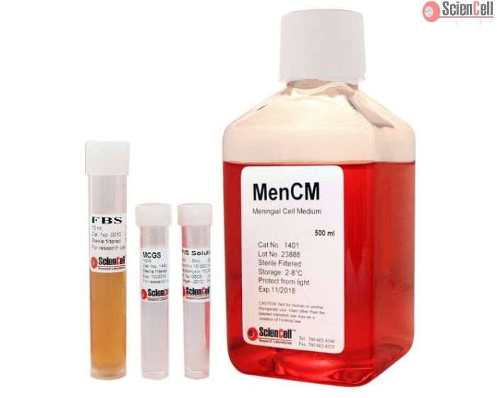 Meningeal Cell Medium
