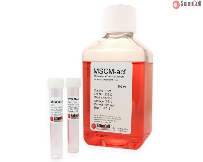 Mesenchymal Stem Cell Medium-animal component free
