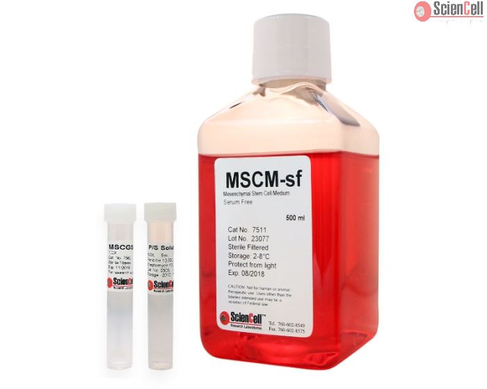 Mesenchymal Stem Cell Medium-serum free