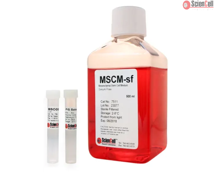 Mesenchymal Stem Cell Medium-serum free