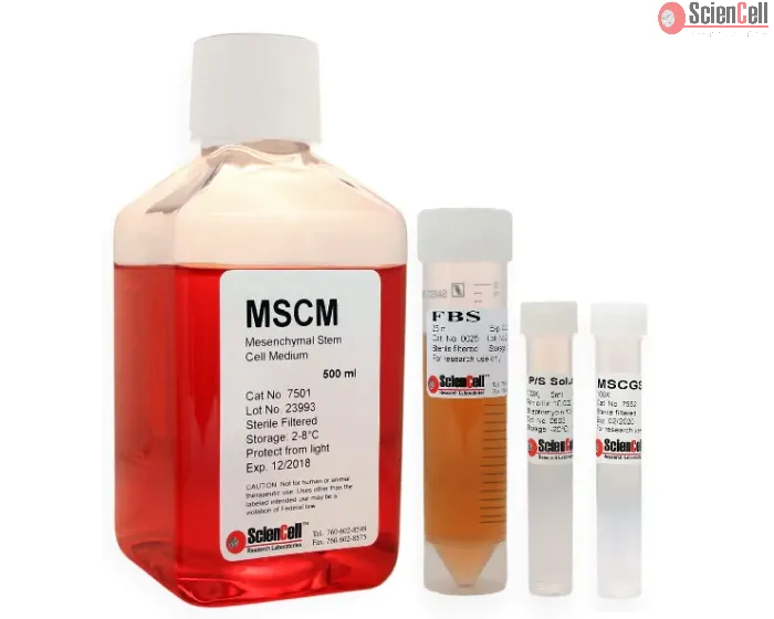 Mesenchymal_Stem_Cell_Medium, MSCM