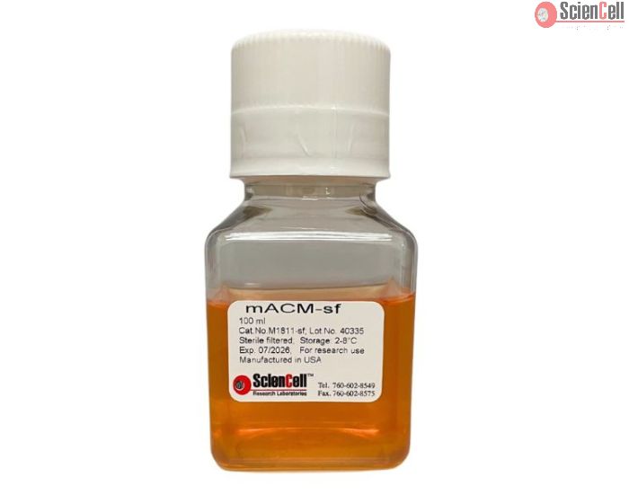 Mouse Astrocyte Conditioned Medium-Serum Free from CD-1