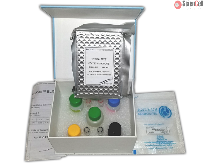 Mouse Leptin ELISA Kit