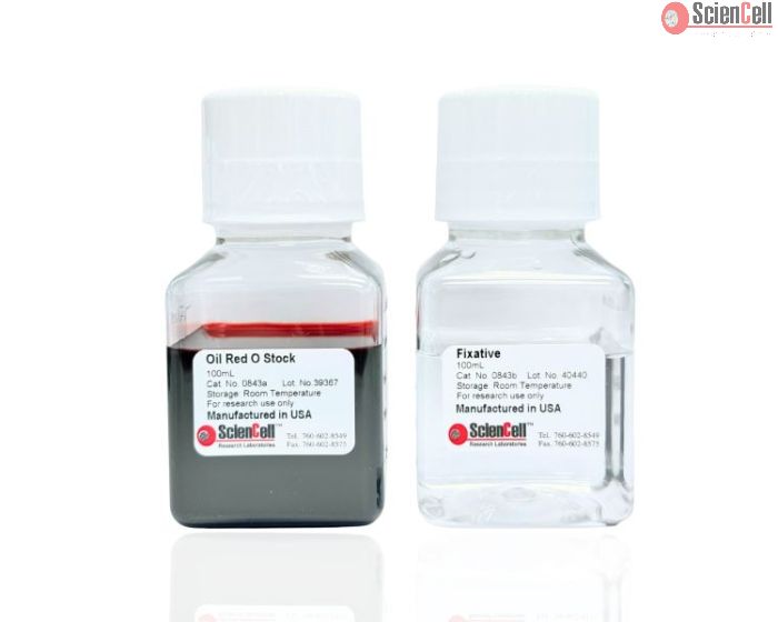Oil Red O Staining Kit