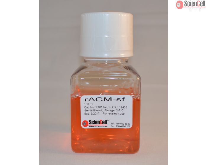 Rat Astrocyte Conditioned Medium-Serum Free 