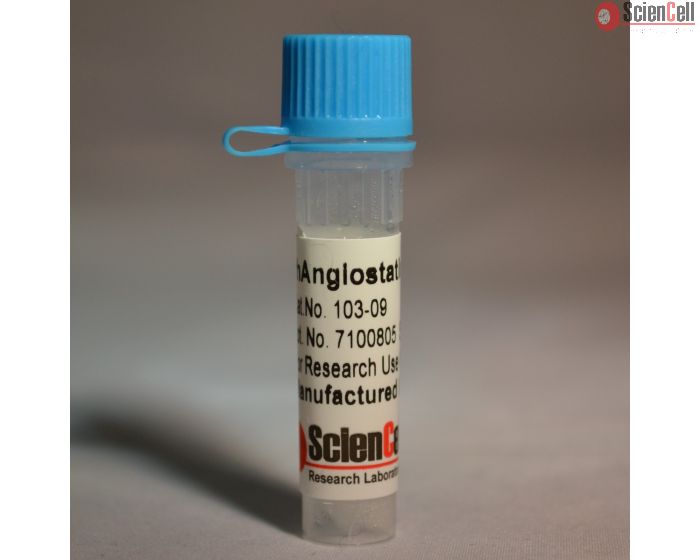 Recombinant Human Angiostatin K1-3