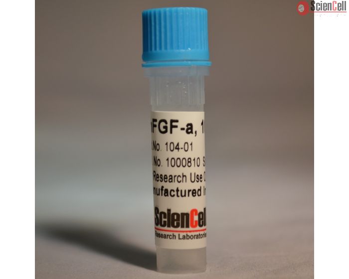  Recombinant Human Fibroblast Growth Factor-acidic