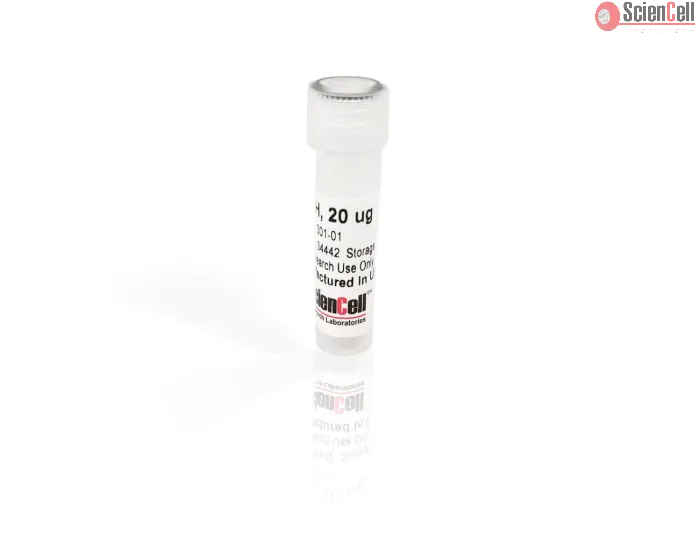 Recombinant Human Growth Hormone