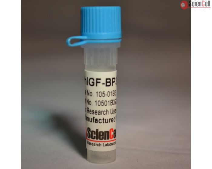 Recombinant Human IGF-BP3