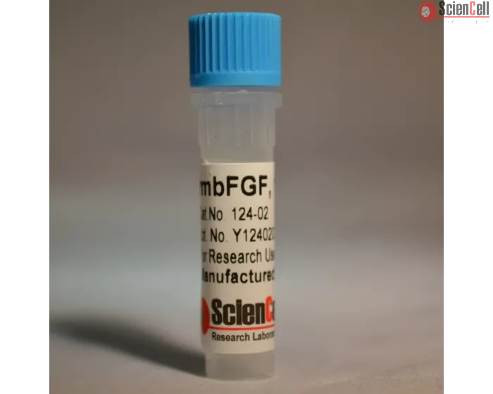 Recombinant Murine FGF