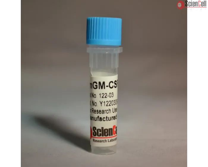 Recombinant Murine GM-CSF