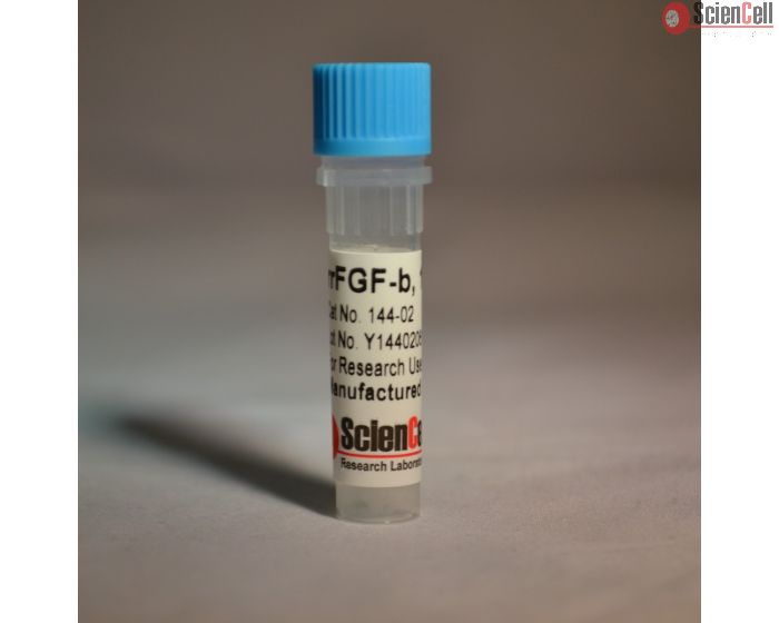 Recombinant Rat Fibroblast Growth Factor-basic