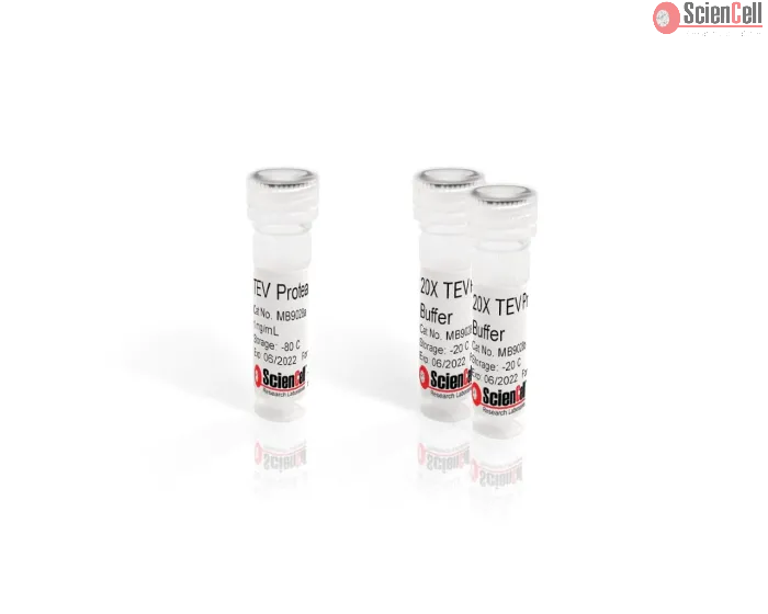 Recombinant TEV Protease with 20X TEV Protease Buffer