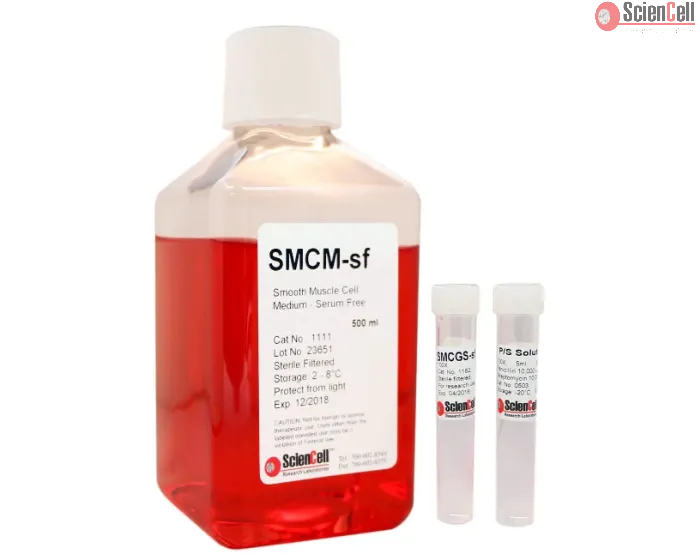 Smooth Muscle Cell Medium-serum free