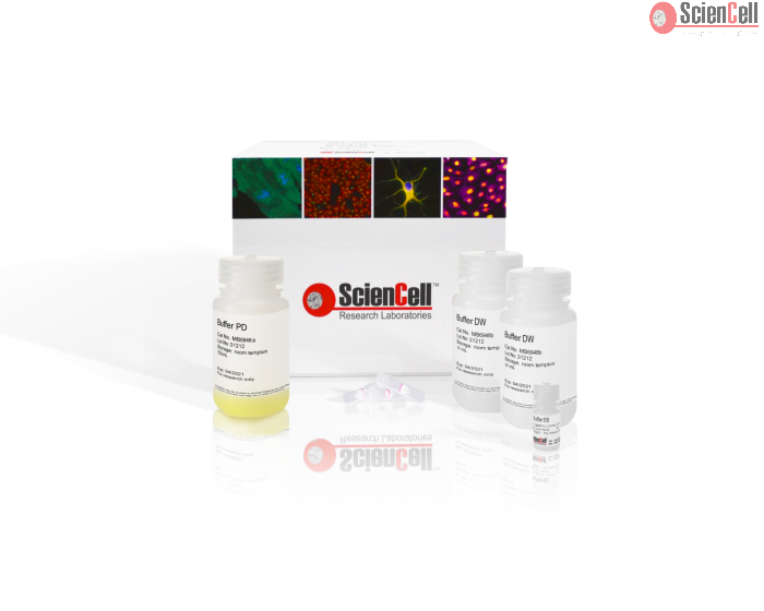 SpeeDNA PCR Purification Kit