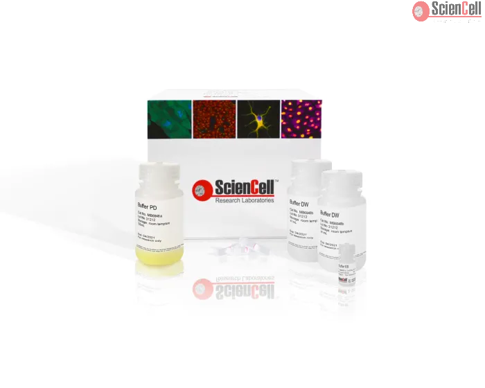 SpeeDNA PCR Purification Kit, 250 preps
