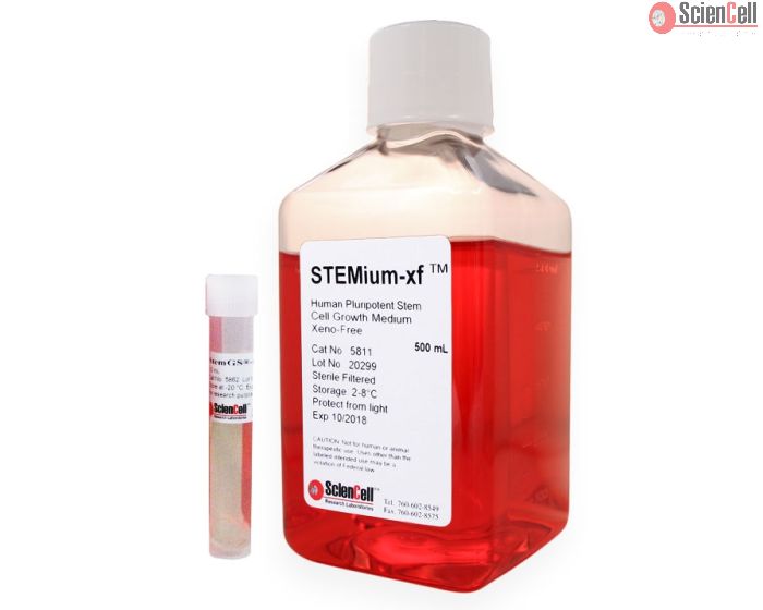 STEMium® Human Pluripotent Stem Cell Growth Medium - Xeno-Free (STEMium-XF)