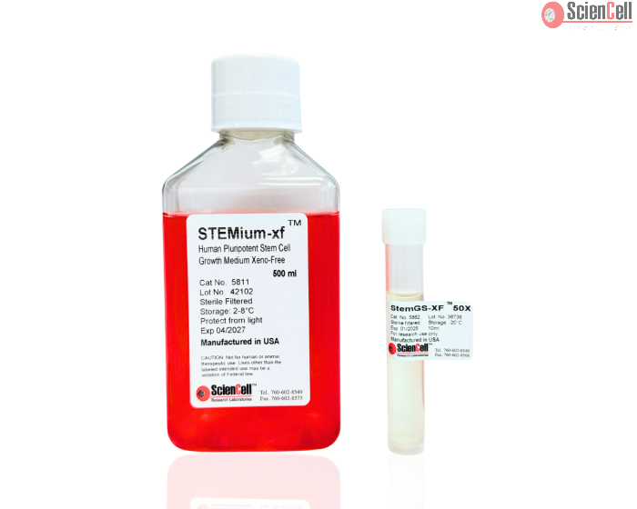STEMium™ Human Pluripotent Stem Cell Growth Medium - Xeno-Free (STEMium-XF)