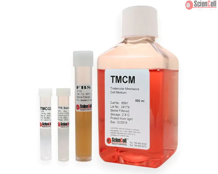 Trabecular Meshwork Cell Medium