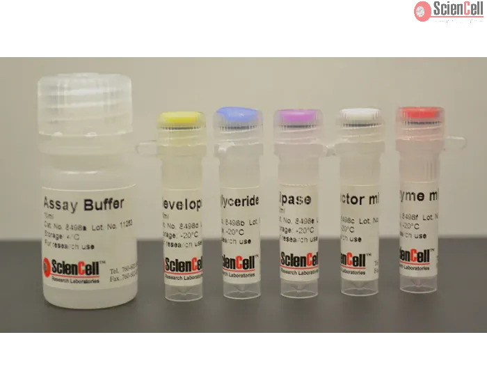 Triglyceride Assay