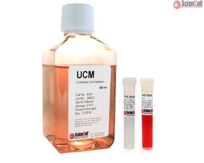 Urothelial Cell Medium