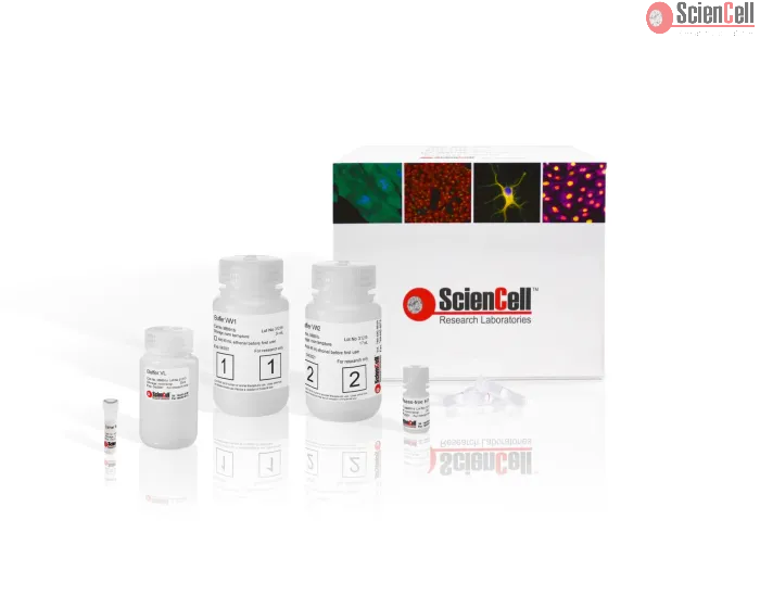 Viral RNA Isolation Kit