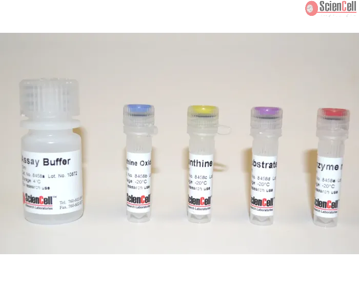 Xanthine Oxidase Assay