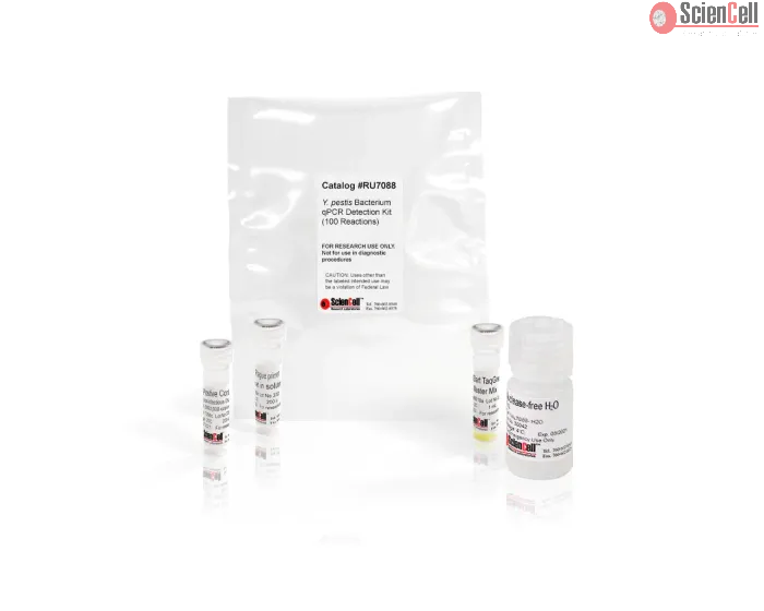 Yersinia Pestis Bacterium qPCR Detection Kit 100 reactions