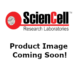 Oil Red O Staining Kit Sciencell Research Laboratories