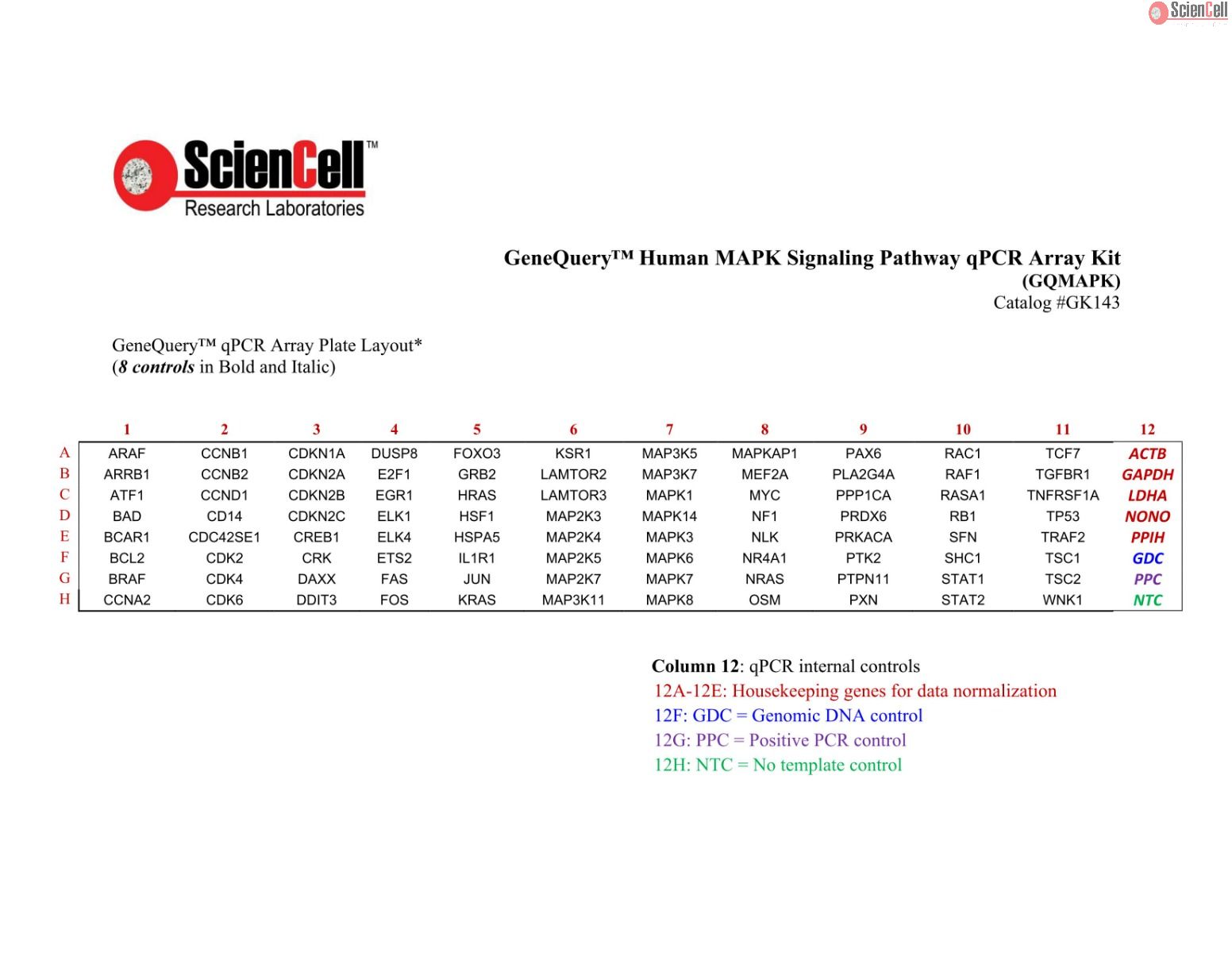 GeneQuery™ Human MAPK Signaling Pathway qPCR Array Kit