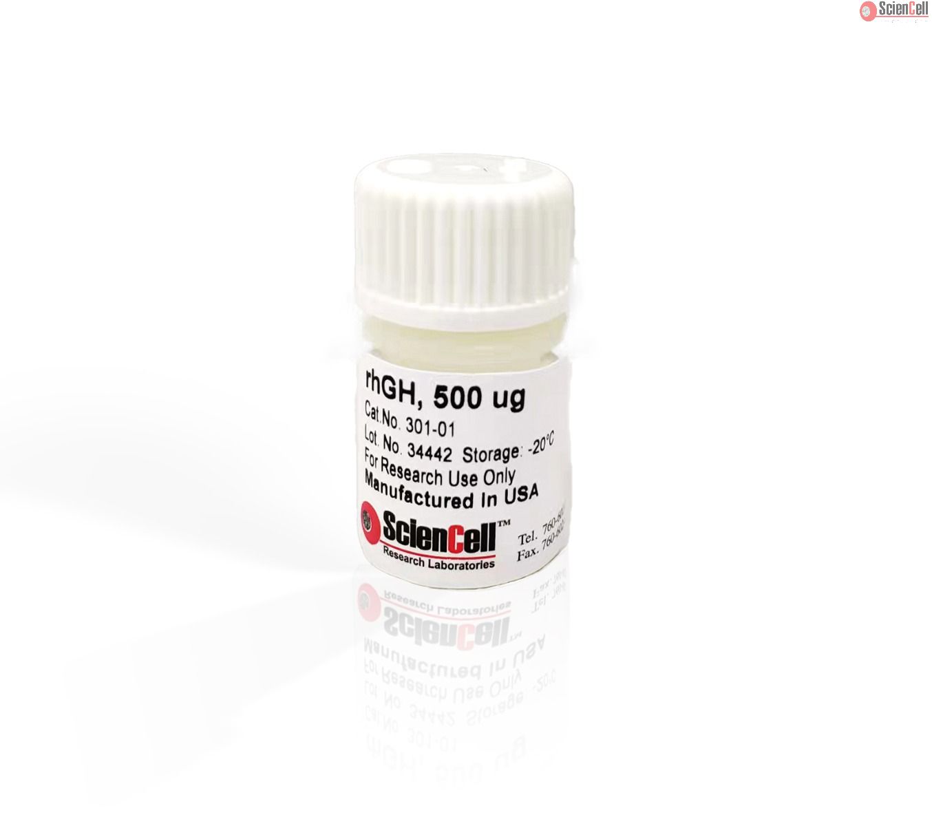 Recombinant Human Growth Hormone