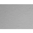人直肠微血管内皮细胞（HRecMEC）- 浮雕相差显微镜图像，200×
