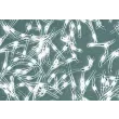 人类表皮黑素细胞-成人 (HEM-a) - 相差显微镜，200倍
