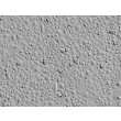 人角膜上皮细胞（HCEpiC）- 浮雕相差显微镜，100×
