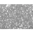 经丝裂霉素 C 处理的小鼠胚胎成纤维细胞（MEF-mt）——相差显微镜下，100×

