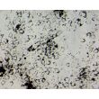Bovine Iris Pigment Epithelial Cells (BIPEpiC)-Relief Contrast, 200X