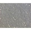 Bovine Oral Fibroblasts (BOF) - Phase Contrast, 100X