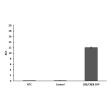 RT-qPCR validation of GFP expression in transfected cells

