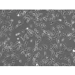 Human Aortic Adventitia Fibroblasts (HAAF) - Phase contrast, 100x.